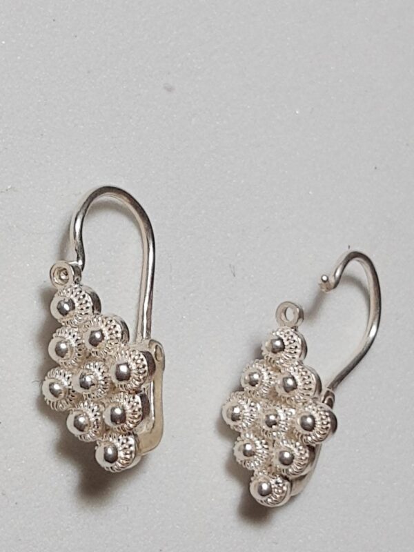 Aretes de Tomatillo