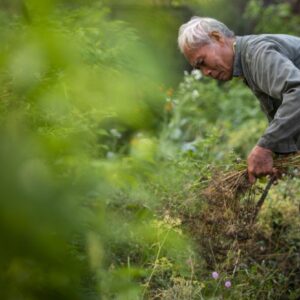 Una parcela campesina autosuficiente