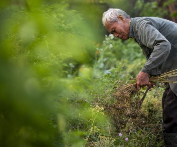 Una parcela campesina autosuficiente