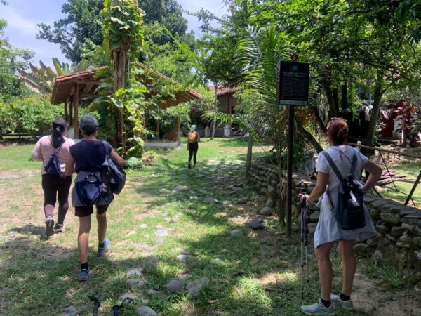 Caminatas - Imagen 3