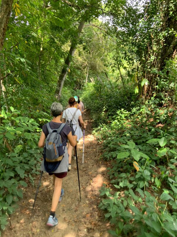 Caminatas